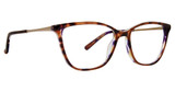 XOXO Cordova Tortoise/TOR
