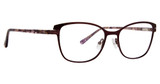 XOXO Eyeglasses Limon Orchid/ORC