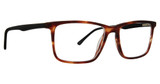 Argyleculture Eyeglasses Turner Matte Tortoise/MTR