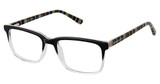 AÉROPOSTALE Eyeglasses Ferocious Black Fade/BLACK FADE