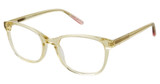 AÉROPOSTALE Eyeglasses AERO2013 Sunflower/SUNFLOWER