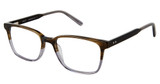 Cruz Eyeglasses Bellevue Ave Brown/BROWN
