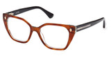 Web Eyeglasses WE5385 blonde havana/053