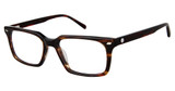 Sperry Eyeglasses SLIP KNOT BROWN HORN/C03