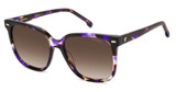 Carrera Eyeglasses CARRERA 3002/S VLT HVNA V/0HKZ