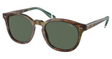 Polo Eyeglasses PH4206 SHINY BROWN TORTOISE/501771