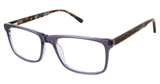 Cruz Eyeglasses Sachem St Lava/LAVA