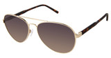 Superflex Eyeglasses SFS-2010 GOLD TORT/S111
