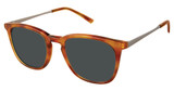Superflex Eyeglasses SFS-2013 WHISKEY/S412