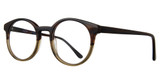 Eye Q Eyewear Eyeglasses CAMDEN Tortoise/Brown/TORT/BRN