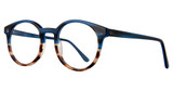 Eye Q Eyewear Eyeglasses CAMDEN Teal/Demi/TEAL/DEMI