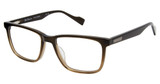 Ben Sherman BEECH TORTOISE/C01