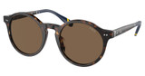 Polo Eyeglasses PH4204U SHINY DARK HAVANA/500373