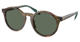 Polo Eyeglasses PH4204U SHINY BROWN TORTOISE/501771