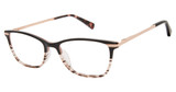 Ted Baker Eyeglasses TFW017 black/BLK