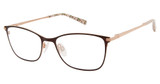 Ted Baker TW522 brown/BRN