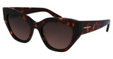 Ferragamo SF1107S DARK TORTOISE/242