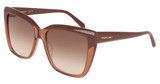 Ferragamo SF1102S BURGUNDY/TRANSPARENT BROWN/619