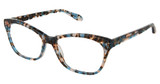 FYSH Eyeglasses FYSH 3726 AQUA BROWN/S404