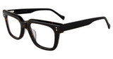 Lucky Brand Eyeglasses VLBD431 Havana 909T