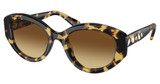 SWAROVSKI Eyeglasses SK6005 MEDIUM HAVANA/100913