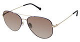 OTP Eyeglasses OTPS-2036 NAVY GOLD/M201