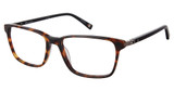 Champion Eyeglasses MOST TORTOISE/C02