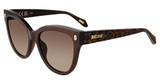Just Cavalli Eyeglasses SJC043 Shiny Transp. Brown 0AAK