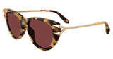 Roberto Cavalli SRC031 Brown/Honey Havana 0777