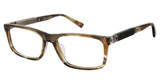 Champion Eyeglasses WHIM BROWN TORTOISE/C02