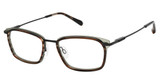 Barbour Eyeglasses BAOM002 Tortoise/TOR