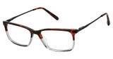Barbour Eyeglasses BAOM007 Tortoise/TOR
