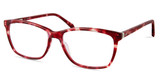 Modo Eyeglasses 6555 BURGUNDY TORTOISE/BGTT
