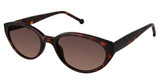 OTP Eyeglasses OTPS-2038 TORTOISE/S412