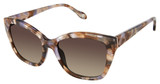 FYSH Eyeglasses FYSH 2113 BROWN MAUVE/S402