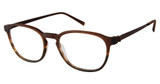 TLG Eyeglasses NU070 BROWN/C02