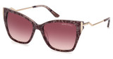 Guess? Eyeglasses GM0833 bordeaux/other / gradient bordeaux/71T