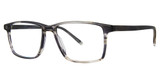Paradigm Eyeglasses Garcia Steam Horn/SH