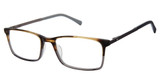 Ted Baker Eyeglasses TFM016 tortoise grey/TOR