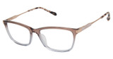 Barbour Eyeglasses BAOW013 Brown/BRN