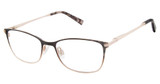 Ted Baker Eyeglasses TKG001 brown/BRN