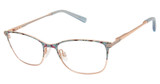 Ted Baker Eyeglasses TKG001 slate/SLA