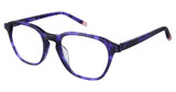 2BB Eyeglasses GWEN AUVERGINE TORT/C03
