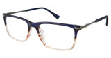2BB Eyeglasses HERMANN NAVY TORT GOLD/C02