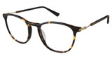 2BB Eyeglasses GEORGE TORTOISE GOLD/C01