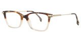 STATE Optical Co. Estes Maple Prosecco Gold/1