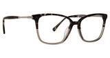 Life is Good Eyeglasses Aviva Tortoise/Grey/TGY