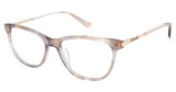 Nicole Miller Eyeglasses MAJESTIC TRANS BROWN/C01