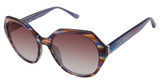 Nicole Miller Eyeglasses BALIFF NAVY BROWN/C03