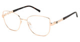 Pierre Cardin Eyeglasses P.C. 8873 GOLD COPP/0DDB